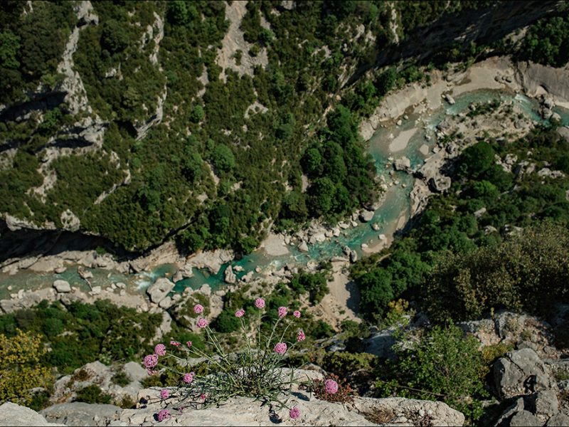 verdon-nature-18