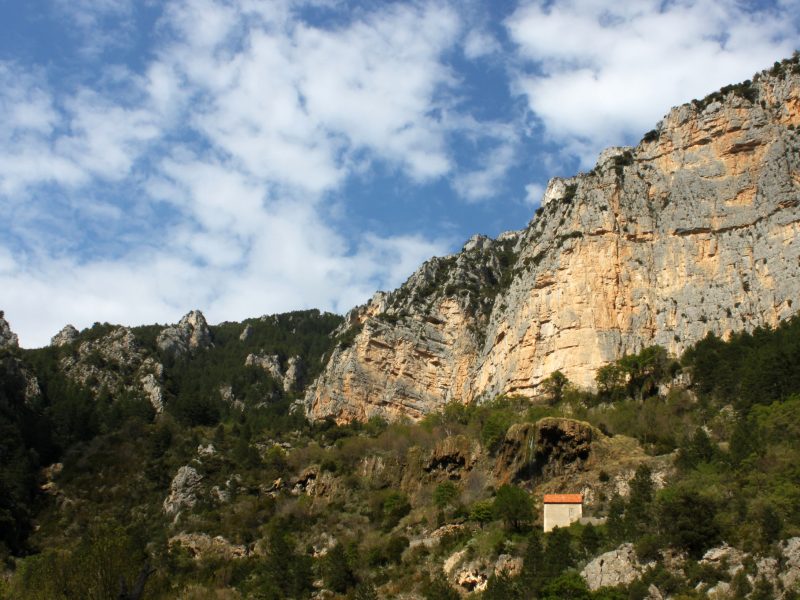 verdon-nature-33