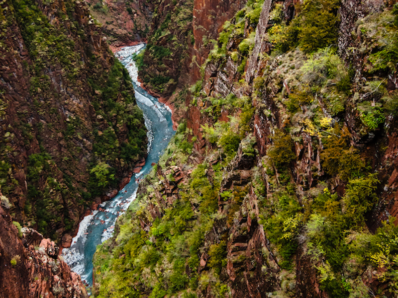 verdon-nature-pic-17